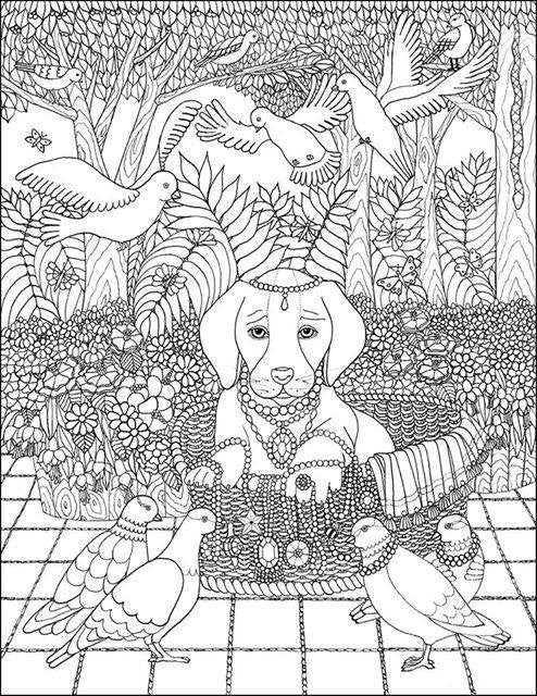 20 Best Animals Coloring Books of All Time - BookAuthority
