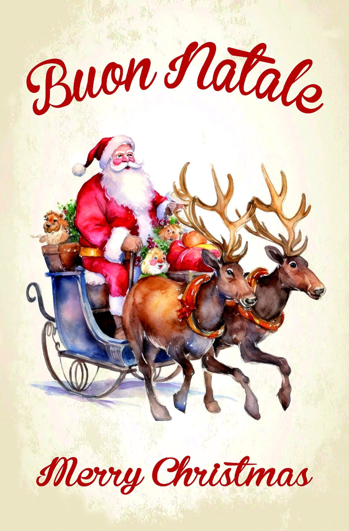 Babbo Natale on Sled - Dish Towel  - Made in Italy