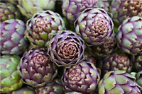 Frozen Quartered Artichokes from Italy