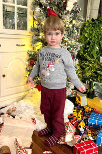 It's Dominick the Donkey Sweatshirt - Kids - Youth