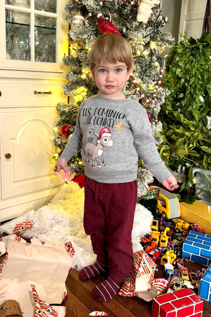 It's Dominick the Donkey Sweatshirt - Kids - Youth