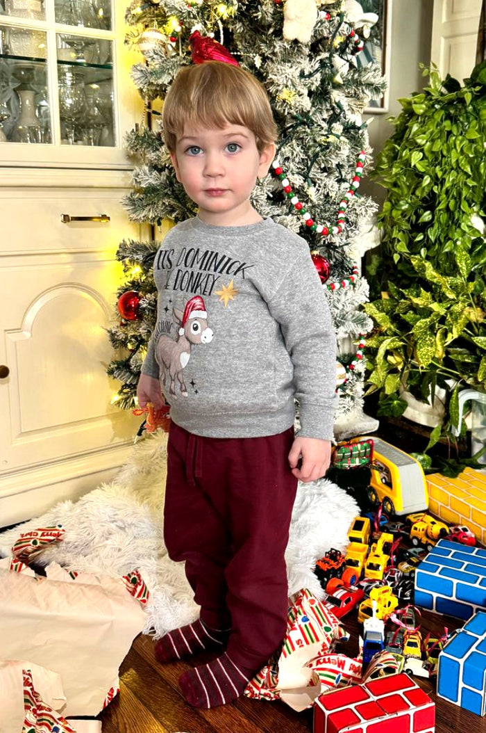 It's Dominick the Donkey Sweatshirt - Kids - Youth