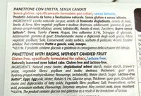 Panettone with Raisins - Gluten Free - Lactose Free