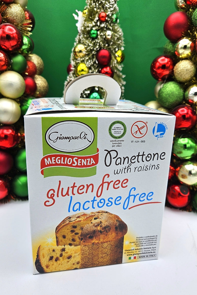 Panettone with Raisins - Gluten Free - Lactose Free