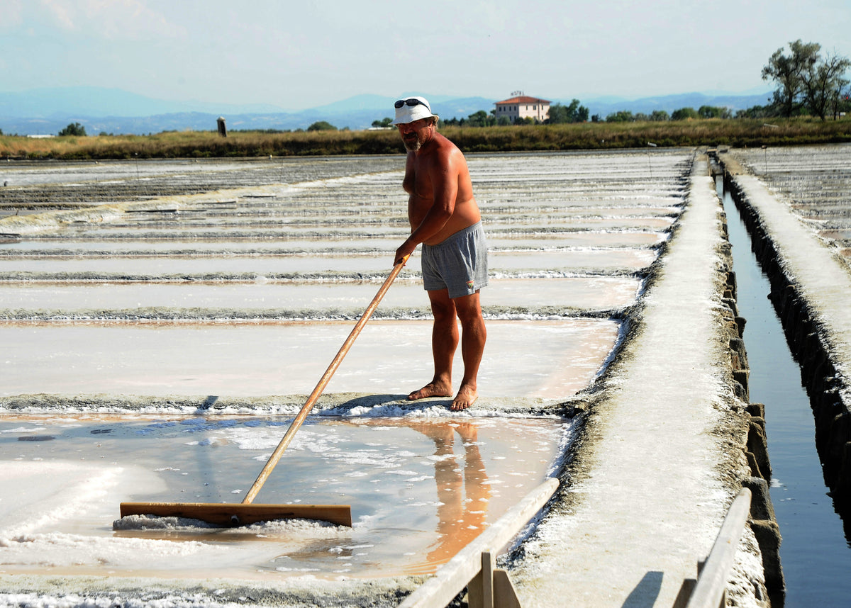 Sweet Salt -  Sale Dolce di Cervia - Coarse