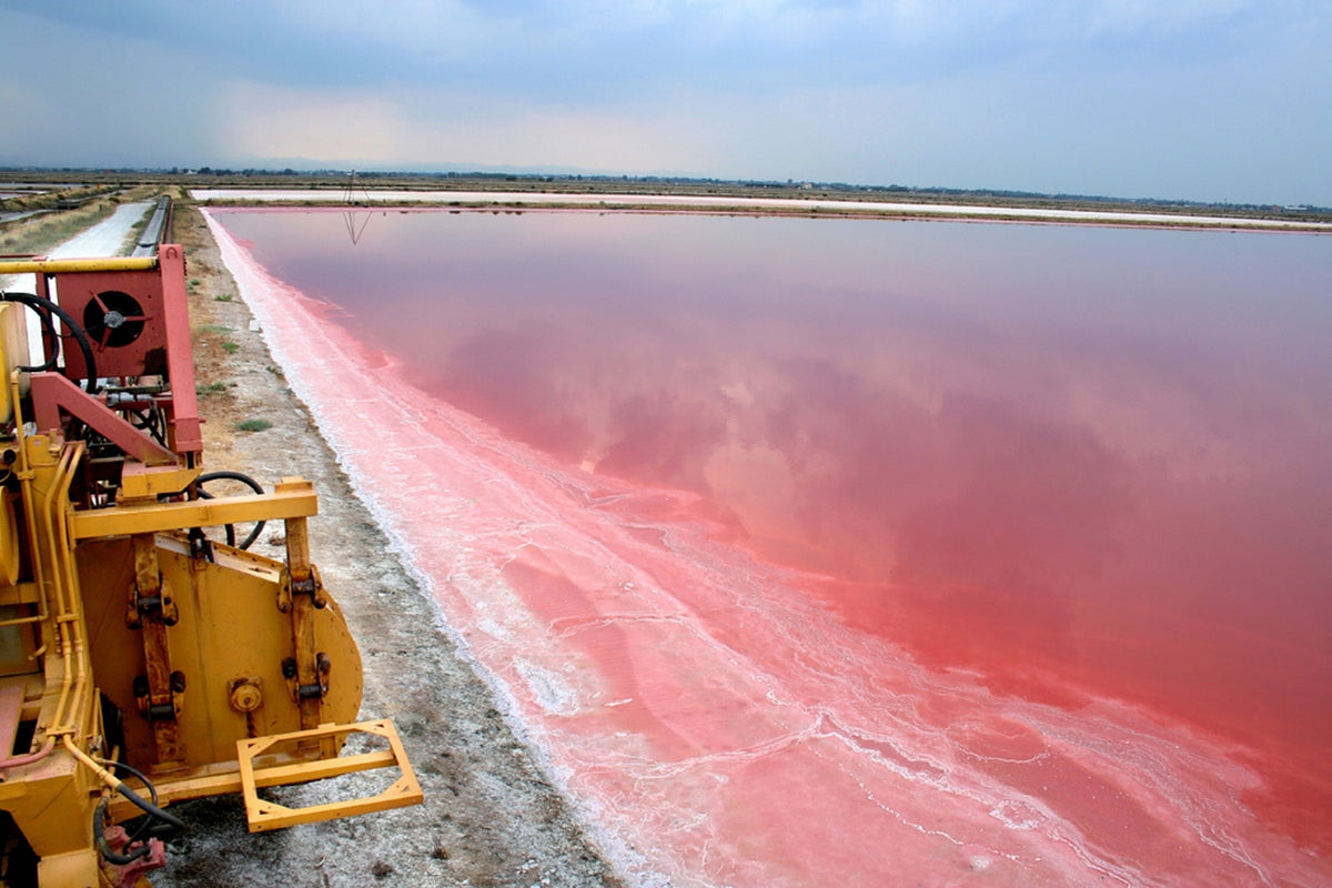 Sweet Salt -  Sale Dolce di Cervia - Coarse