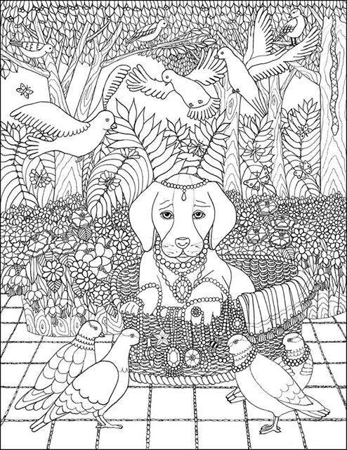 Precious Animals - Coloring Book - With Dedication