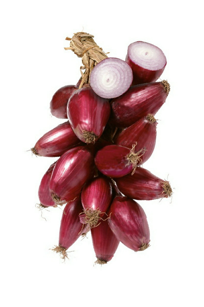 Red Onion Spread by Callipo