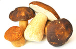 Dried Porcini Mushrooms - 20 Gr