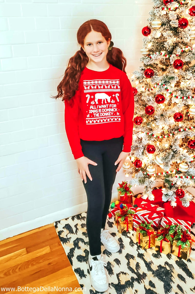 The Dominick the Donkey Ugly Christmas Sweatshirt - Kids - Youth
