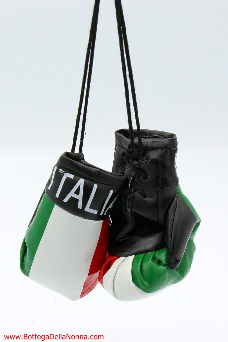 Italia Mini Boxing Gloves