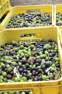 Lemon Infused Extra Virgin Olive Oil from Puglia  by Frantoio Galantino